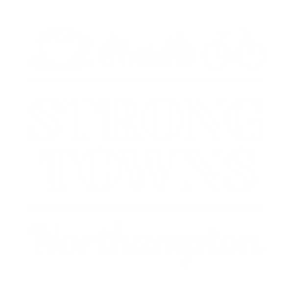 STN logo_edited_edited_edited.png