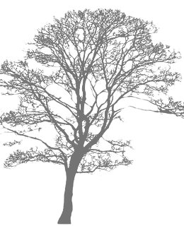 Capture d’écran 2025-08-06 104955_edited