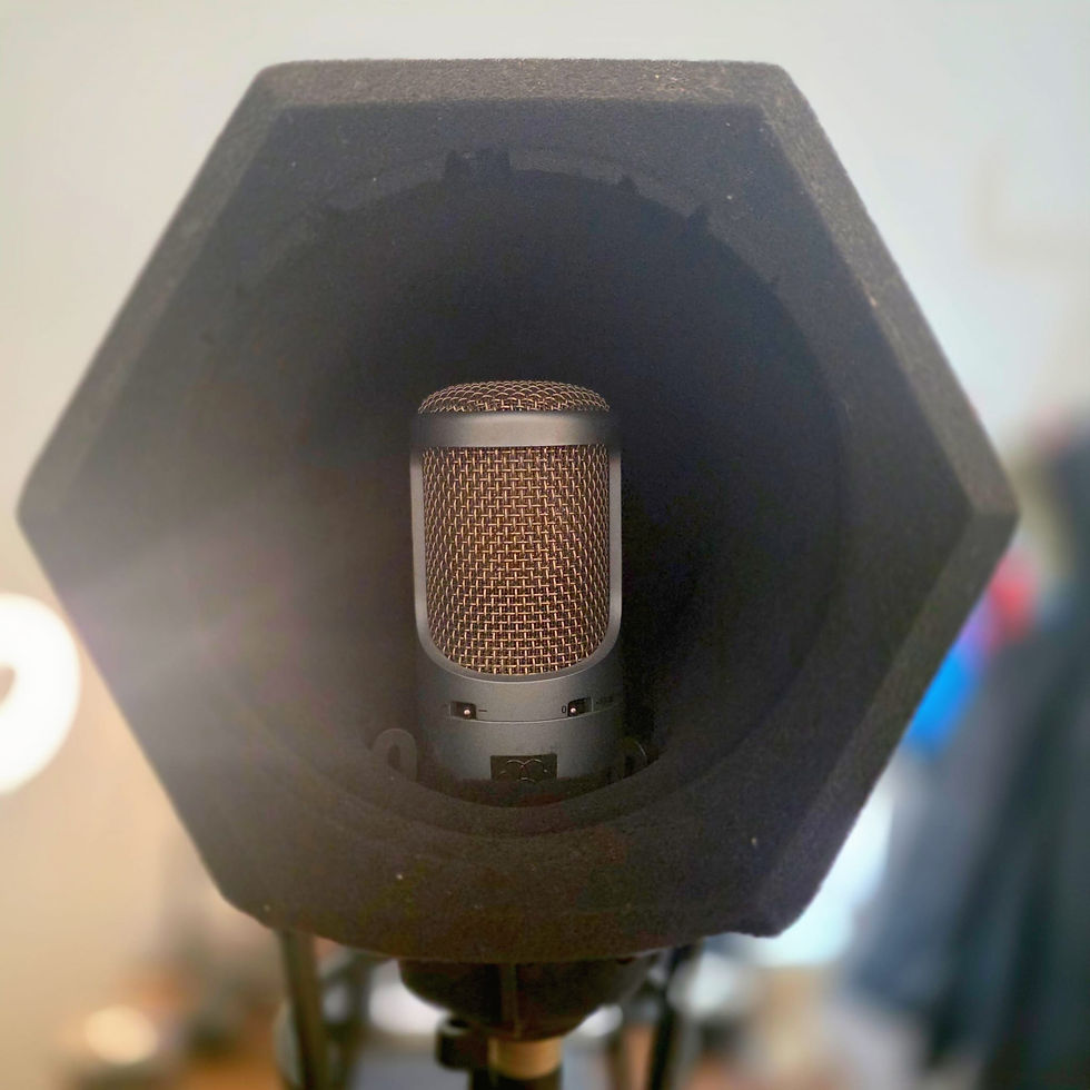 Mic 1