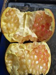 Fruit with symptoms of potassium deficiency and ripening disorders