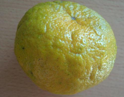 Fruto con síntomas de deficiencia de potasio y alteraciones en la maduración