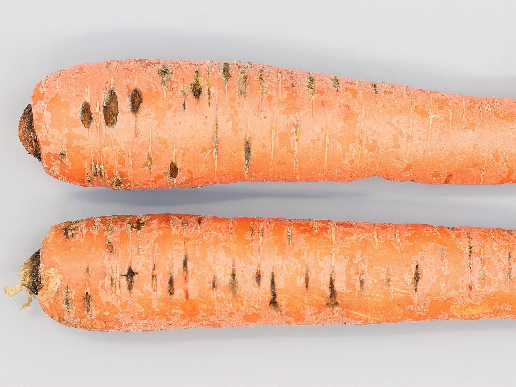 El picado de la zanahoria: qué es, cómo se origina y cómo eliminar de forma efectiva