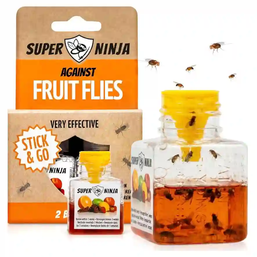 Fruit Fly Traps