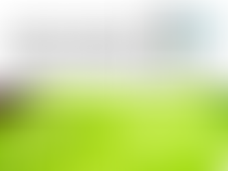 Mouche blanche : qu'est-ce que c'est et comment la combattre ?