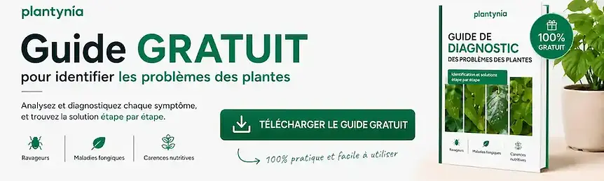 Guide gratuit pour identifier les problèmes des plantes_ CTA_Plantynia.webp