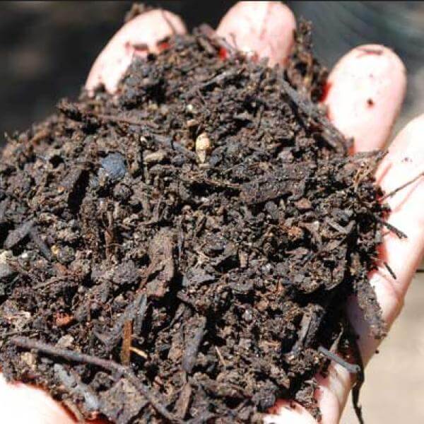 COMPOST MADURO