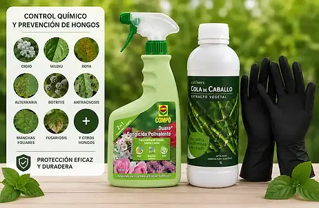Control eficaz de oídio, royas, manchas y otras enfermedades fúngicas mientras fortalece la planta.