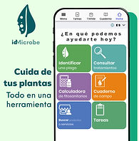 logo idmicrobe.jpg