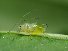 icono_consulta.webp