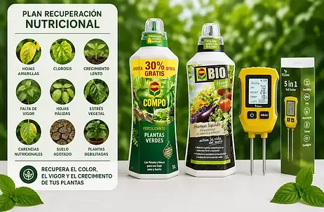 Ayuda a recuperar el vigor, el color y el crecimiento de las plantas mientras mejora las condiciones del suelo.