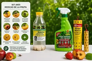 Kit para proteger frutos frente a la mosca de la fruta