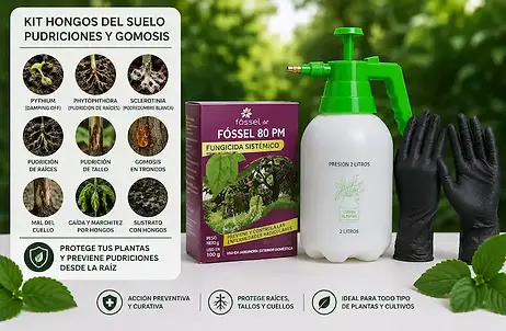 Para plantas con raíces podridas, gomosis, marchitez o problemas de cuello y tronco.