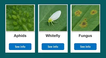 idMicrobe: Glossary of pests, diseases, and plant treatments