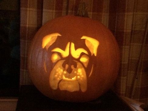 bulldog pumpkin