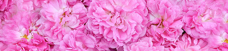 Nail Polish_edited.jpg