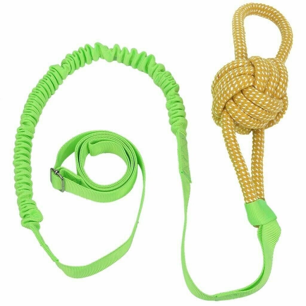 Bungee Dog Toy