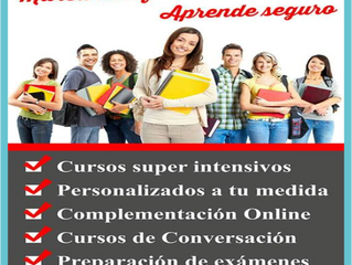 NEW COLLEGE SCHOOL OF ENGLISH