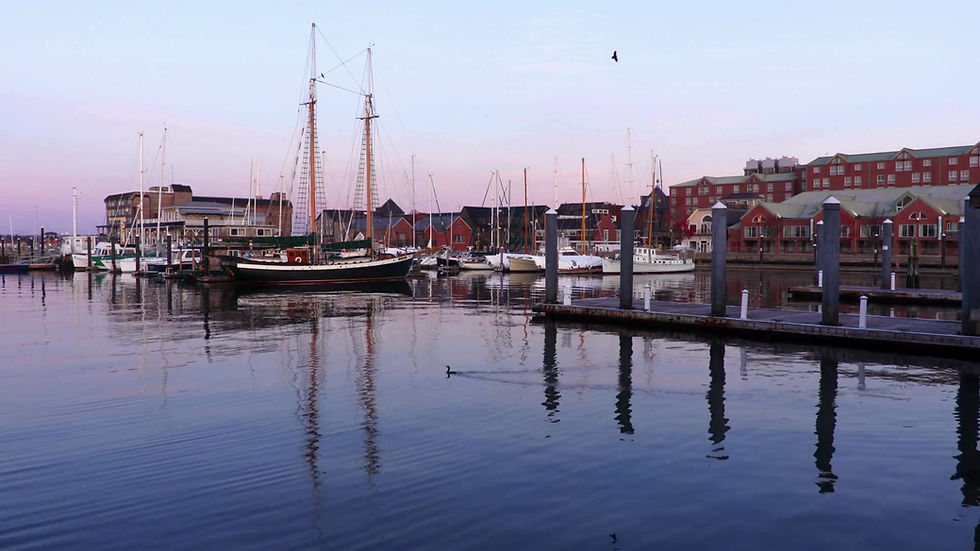 Sandwich Shop in Newport, RI Newport Sandwich Co. Sandwich on