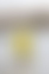 Cold Hands, Open Hearts: Why Winter