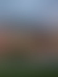 Buying Real Estate Just Got Easier