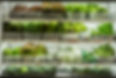 The 1661 Resort Farm Gardens July 2025 The Farmstead -3.jpg