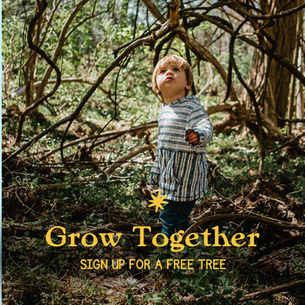 Register Your Child for a FREE TREE!