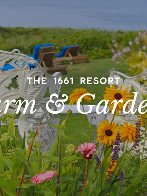 On the Horizon: A Glimpse of the 2026 Summer Season