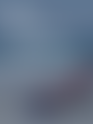 RE/MAX Results Holiday Gift Guide 2023