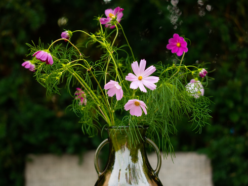 Starting From Scratch with The Cosmos