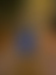 The Magic Was Never Pretend