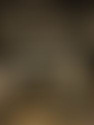 Nervous System Therapy PEMF Therapy