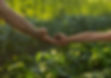 The 1661 Resort Farm Gardens July 2025 -04.jpg