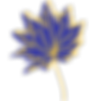 play personality leaves 4.png