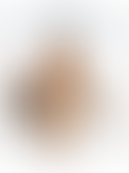 Tendências desse Inverno