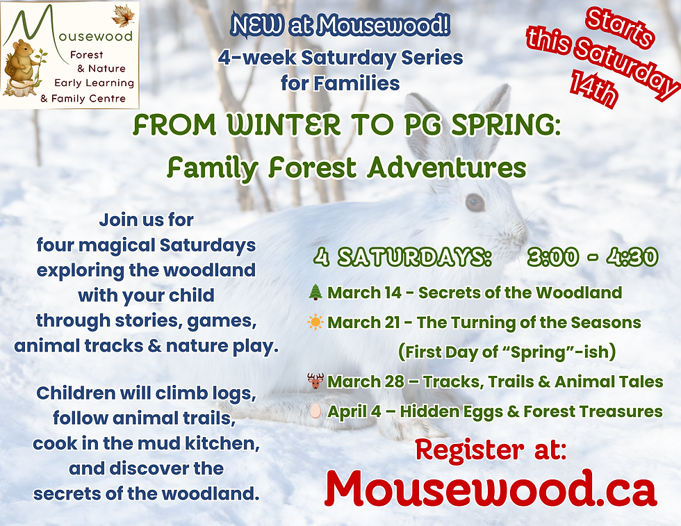 Mousewood Saturday Family Classes