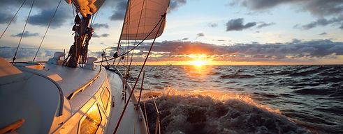 AdobeStock_455372159_edited.jpg