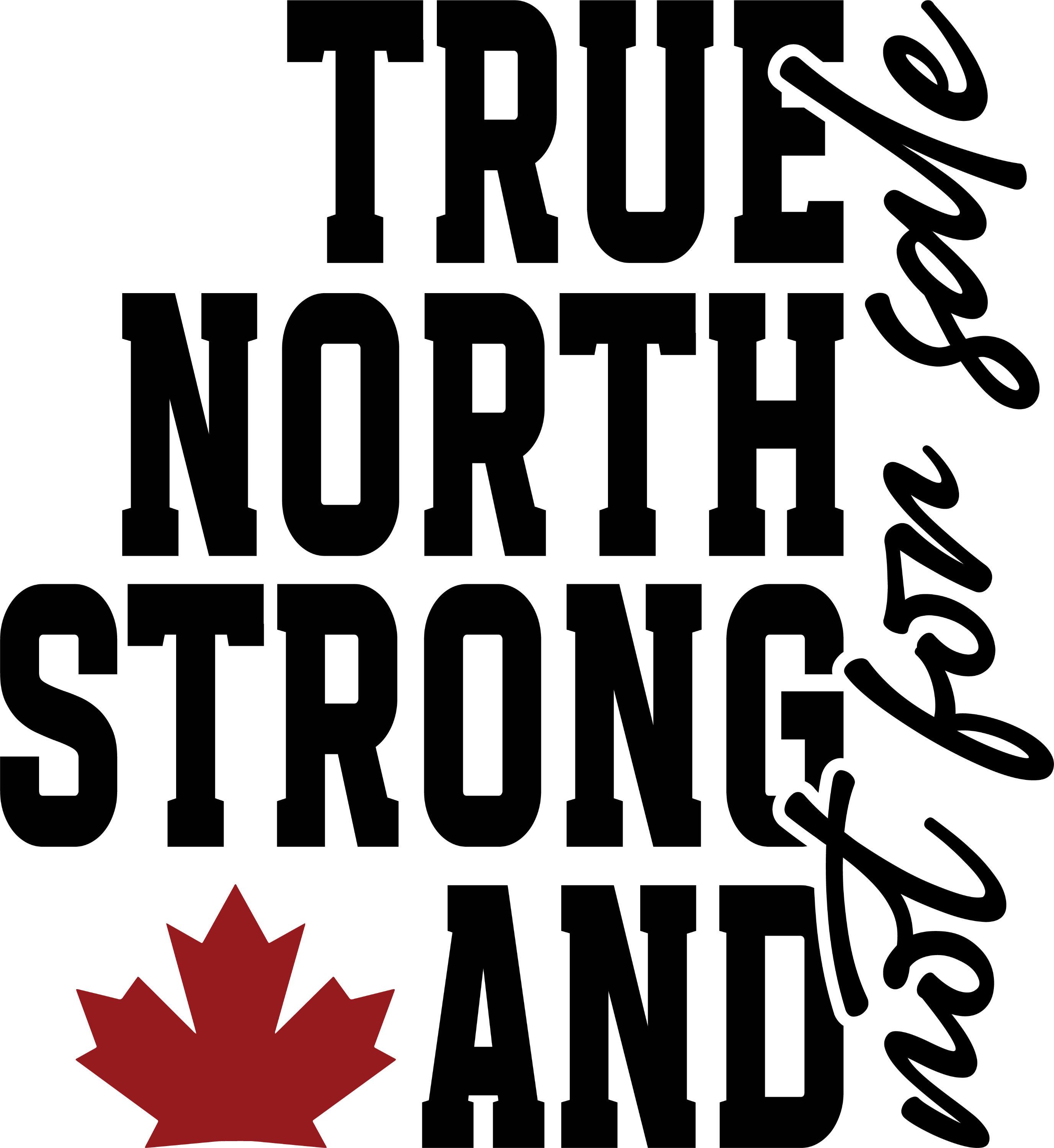 True North not for sale graphic