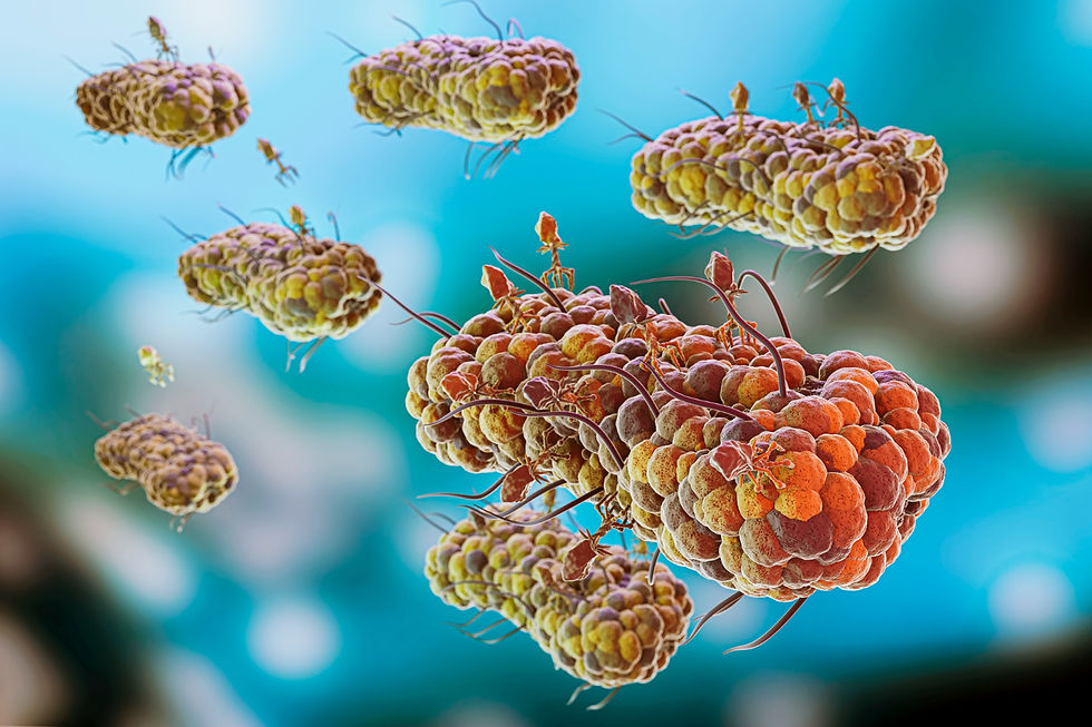 A Homeowner’s Guide to Environmental Mycotoxin Testing