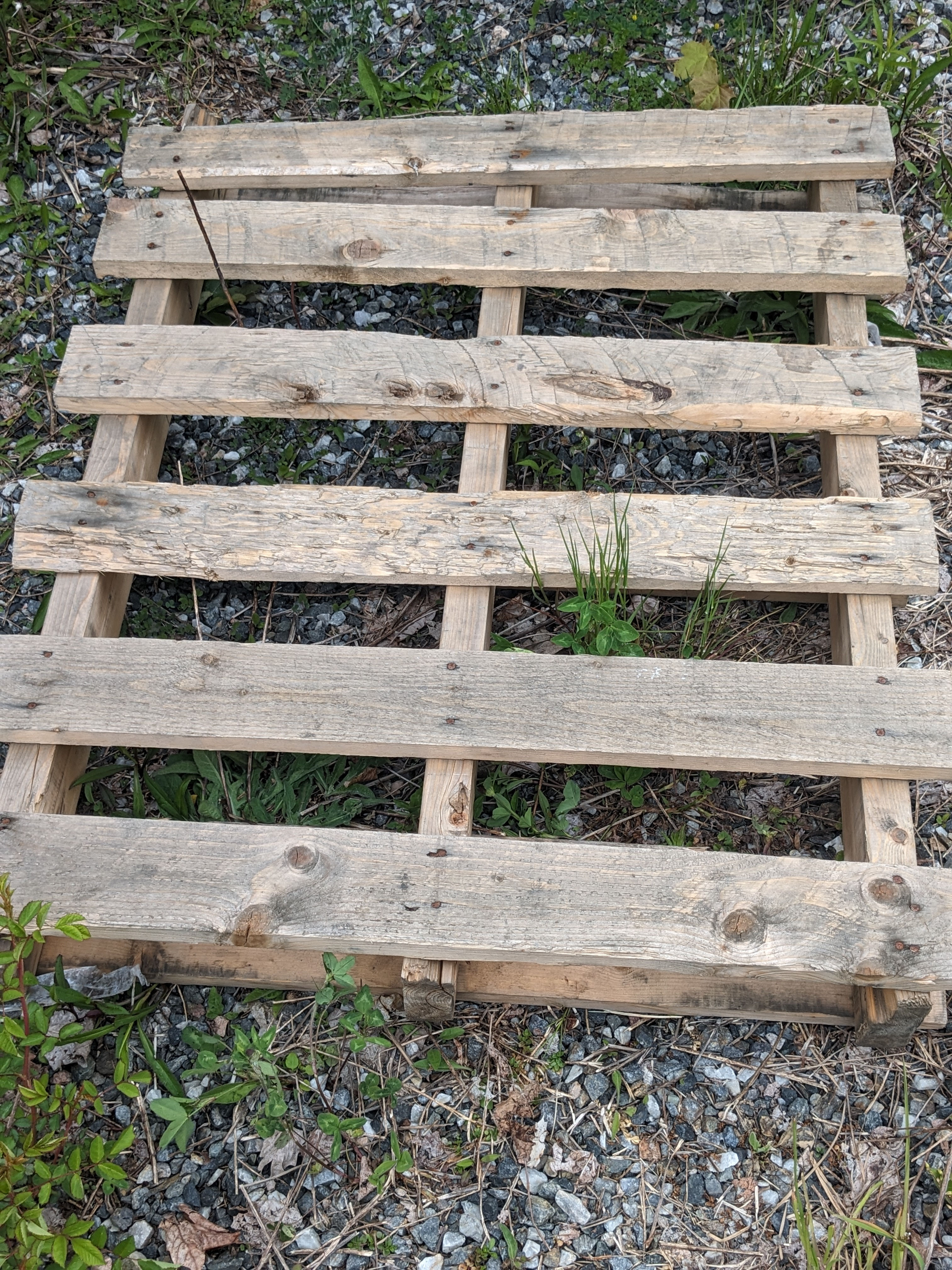 40" x 32" Grade A, Hardwood Pallets