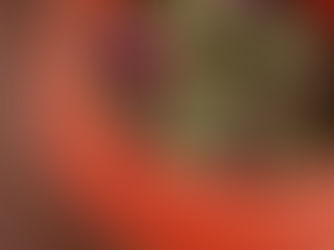 Febrero de Autocrítica