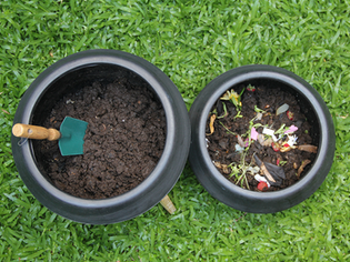 ¿Cúanto humus usar?