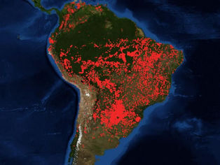 Incendios intencionales en LatinoAmerica y el mundo