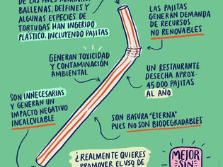 Julio Sin Plástico