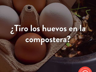 ¿Huevo si, huevo no?
