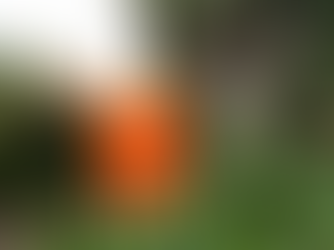 ¡Noviembre para Sumar!