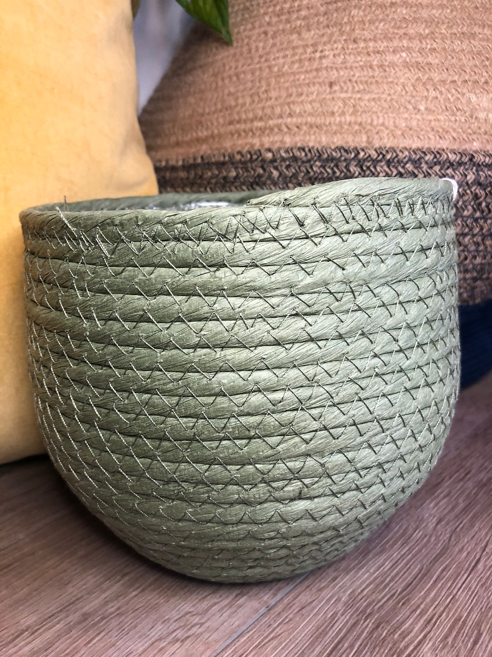 Green basket pot for sale