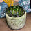Thumbnail: Cement pot with monstera pattern for sale at paisleyflamingo