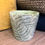 Thumbnail: cement pot with fern pattern for sale