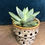 Thumbnail: Handmade pot for sale at paisleyflamingo