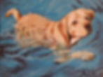 RIP Hallie